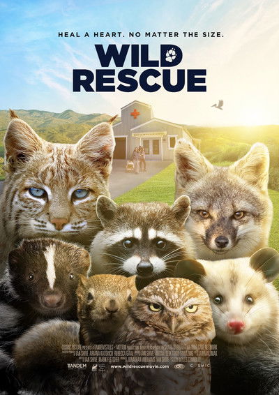 Poster do Filme Wild Rescue