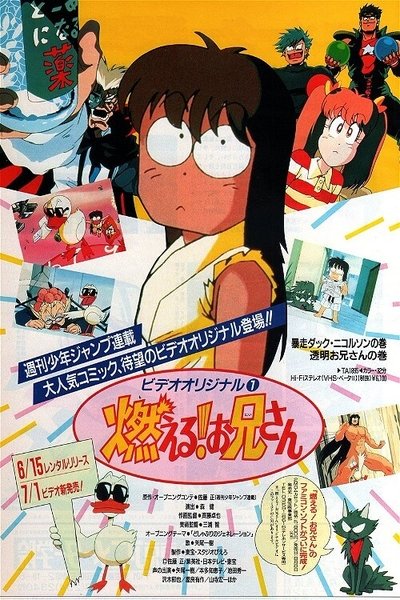 poster for Moeru! Onii-san