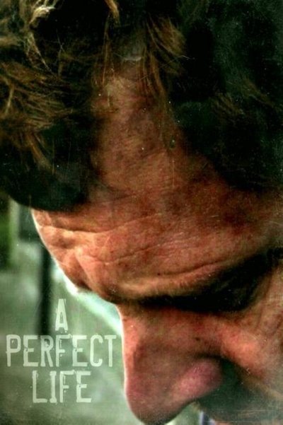 Watch Now!A Perfect Life Movie Online Torrent
