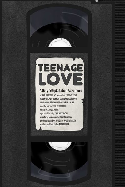 movie poster for Teenage Love