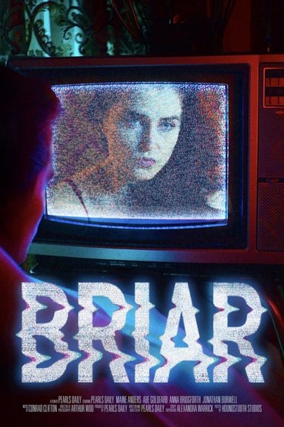 movie poster for Briar