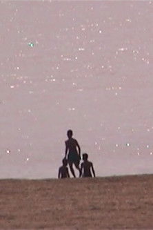 Poster do Filme L'Île éphémère