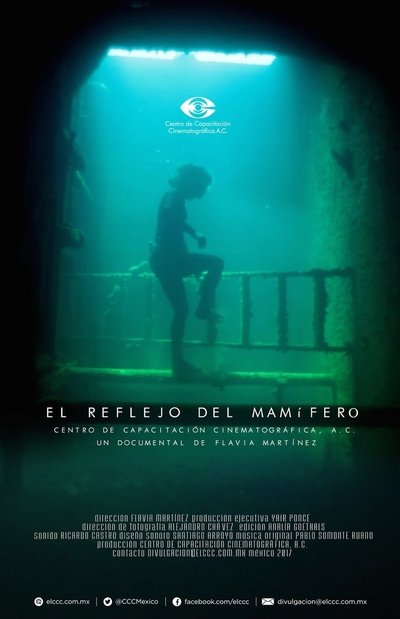 Poster do Filme El reflejo del mamífero
