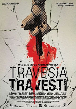 Poster do Filme Travesía Travesti