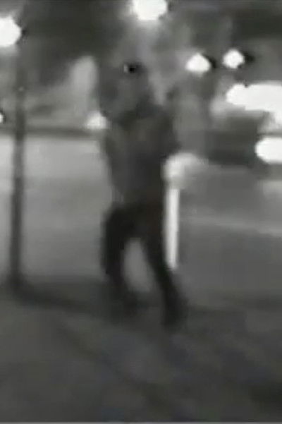 Poster do Filme 我爱我的祝国