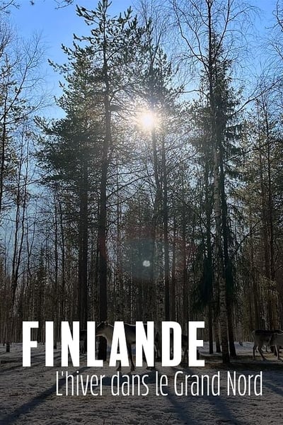 poster Finlande, l'hiver dans le Grand Nord