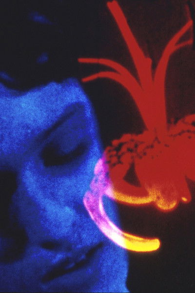 Poster do Filme Hallowed