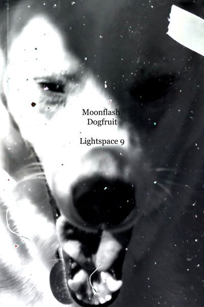 Poster do Filme Moonflash Dogfruit