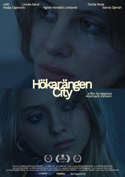 Hökarängen City