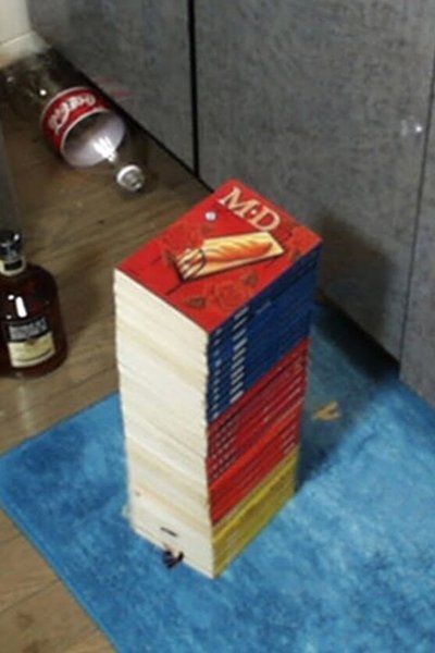 Poster do Filme The Books