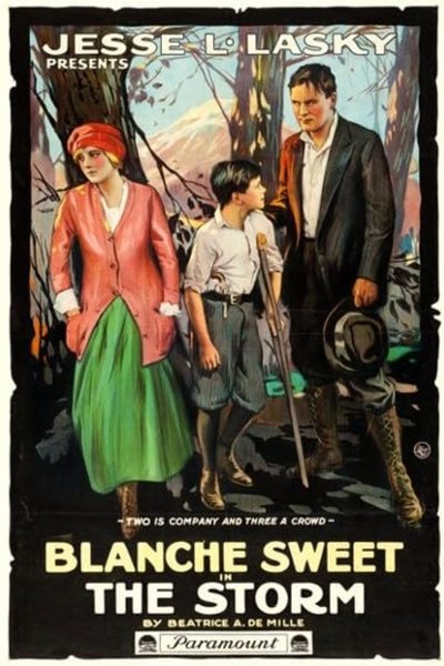 movie poster for The Storm