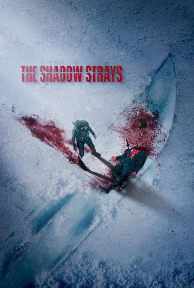 movie poster for The Shadow Strays