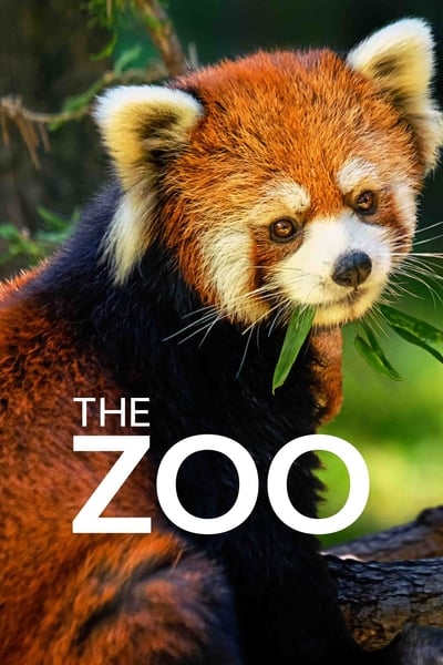 The Zoo TV Show Poster
