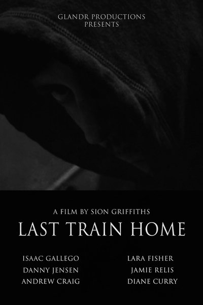 Poster do Filme Last Train Home