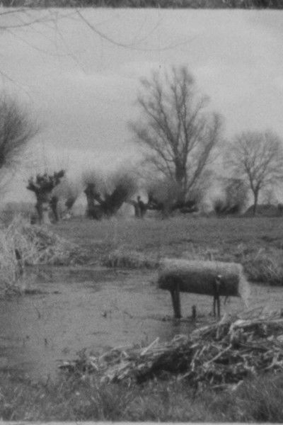 Poster do Filme Landscape as Landscape 15