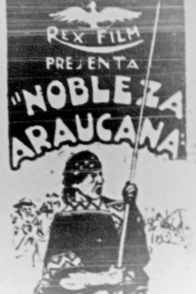 Poster do Filme Nobleza Araucana