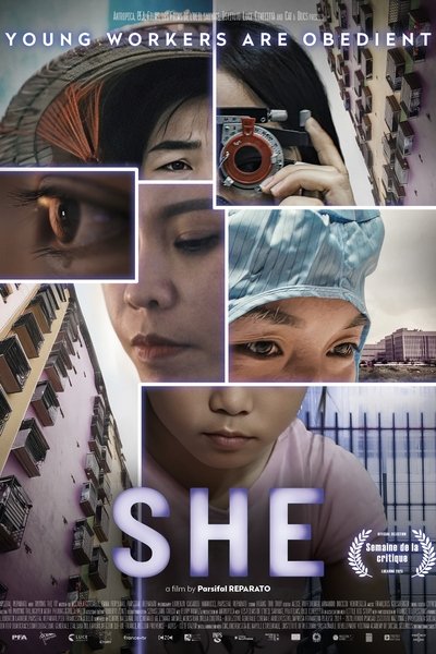 movie poster for She