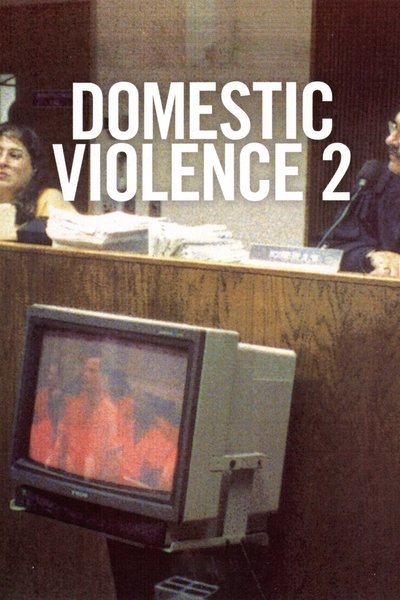 Poster do Filme Domestic Violence 2
