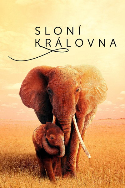 Sloní královna