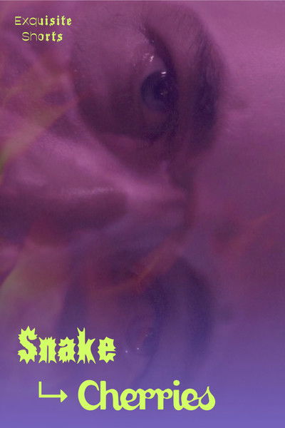 Poster do Filme Snake to Cherries
