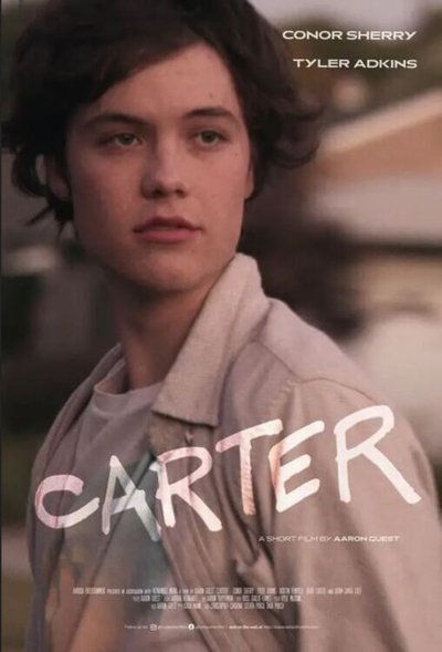 Poster do Filme Carter