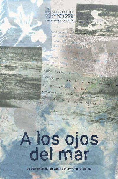 Poster do Filme A los ojos del mar
