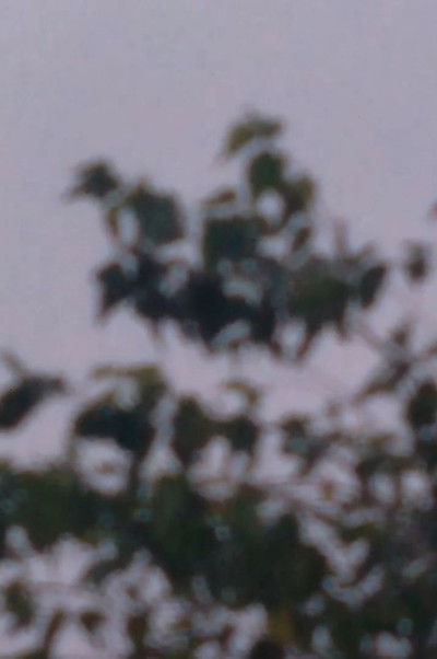 Poster do Filme Exercícios Fílmicos No.1