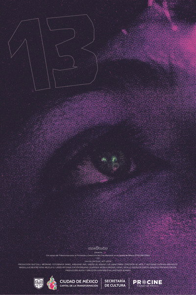 Poster do Filme 13