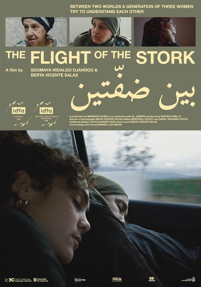 movie poster for The Flight of the Stork