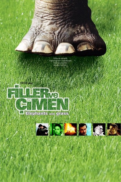 Poster do Filme Filler ve Çimen