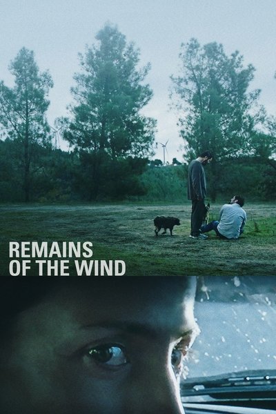 Poster for the movie Remains of the Wind