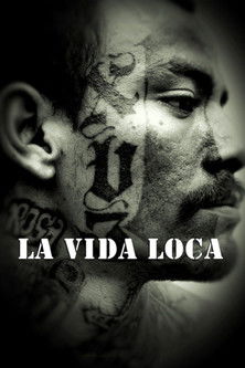 Poster do Filme La vida loca