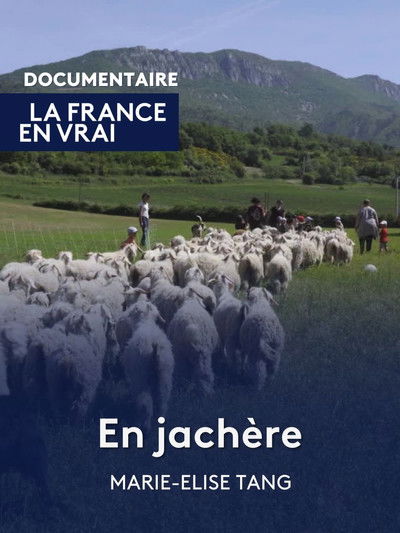 Poster do Filme En Jachère
