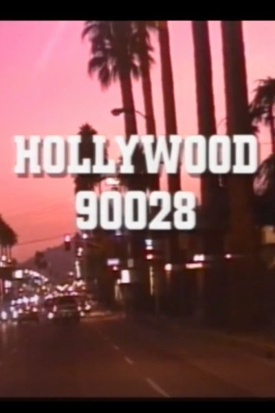 Poster do Filme Hollywood 90028
