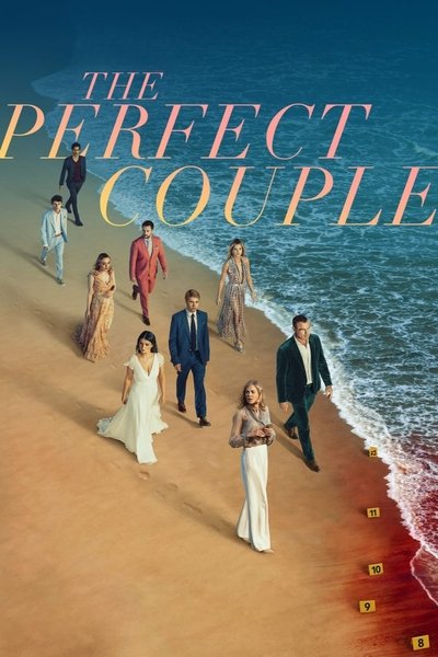 The Perfect Couple (2024) [Season 1] WEB-HDRip [Dual Audio] [Hindi ORG DD 5.1 – English] 1080p | 720p | HEVC | 480p [x264|x265] Esubs [EP 1 TO 6 ADDED]