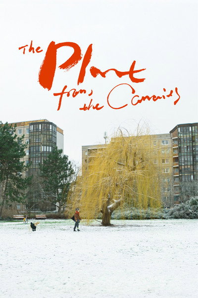 Poster do Filme The Plant from the Canaries