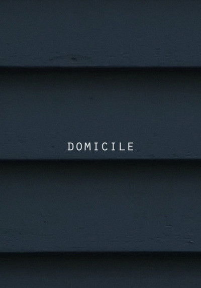 Poster do Filme (Domicile): Waltz