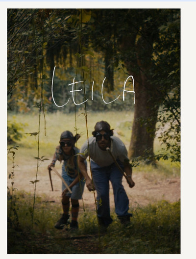 Poster do Filme Leila