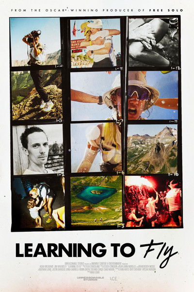 Poster do Filme Learning to Fly