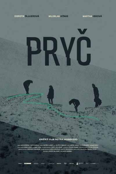 movie poster for Gone