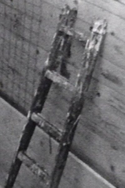 Poster do Filme Wall