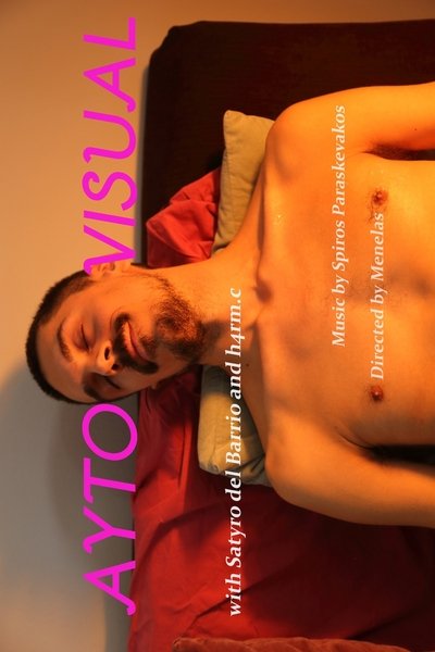 Poster do Filme AUTO/VISUAL