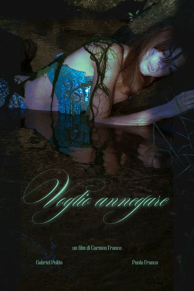 Poster do Filme Voglio annegare