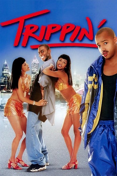 Poster for the movie Trippin'