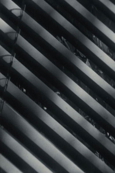 Poster do Filme Blinder