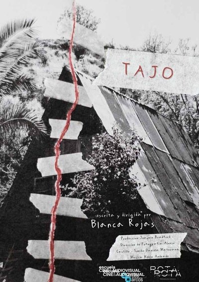 movie poster for Tajo