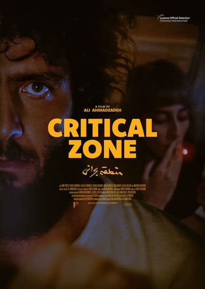 movie poster for Critical Zone