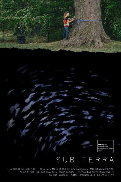 Poster do Filme Sub Terra