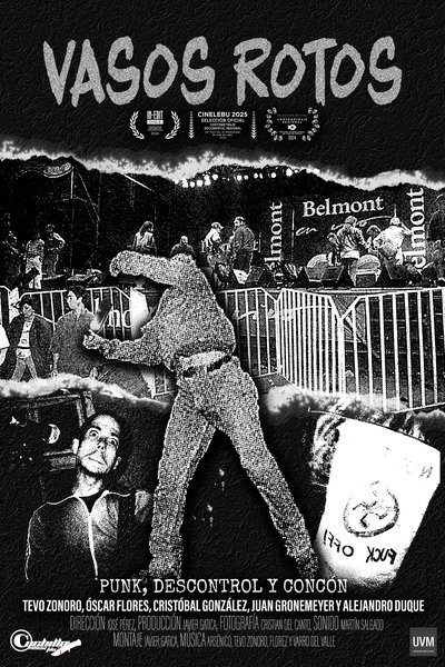 Poster do Filme Vasos rotos