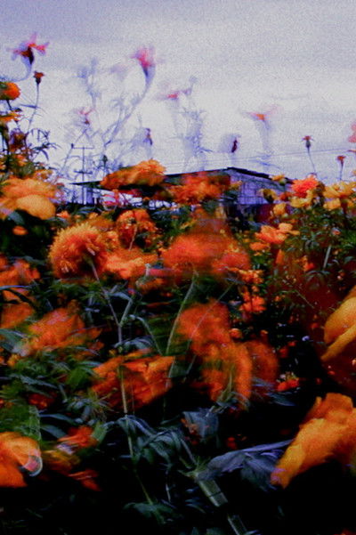 Poster do Filme Monet